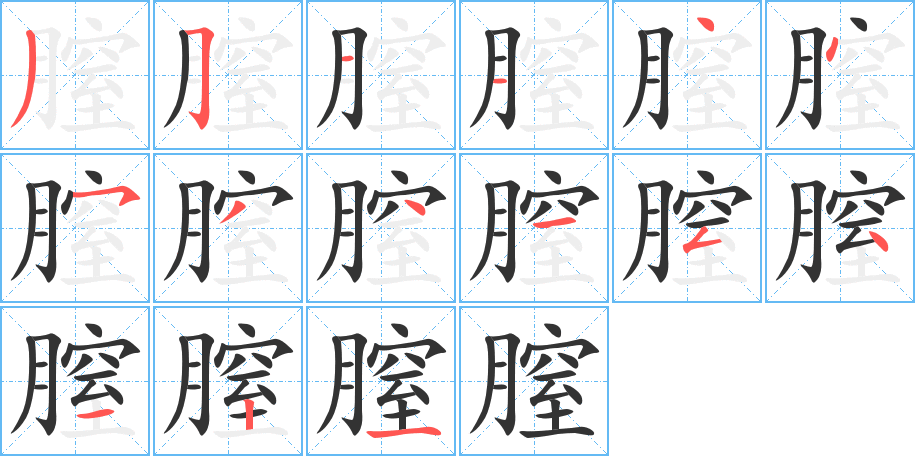 膣字筆畫(huà)寫(xiě)法