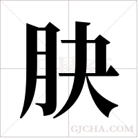 ?的筆順