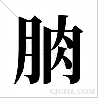朒的筆順