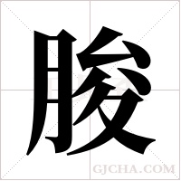 朘的筆順