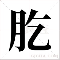 肐的筆順