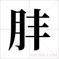 肨的筆順