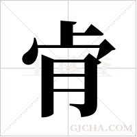 肻的筆順