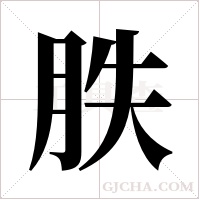 胅的筆順