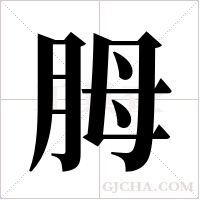 胟的筆順