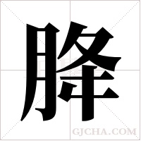 胮的筆順