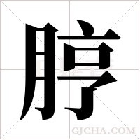 脝的筆順
