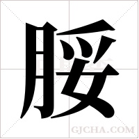 脮的筆順
