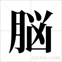 脳的筆順