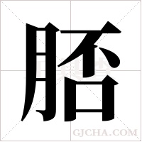 脴的筆順