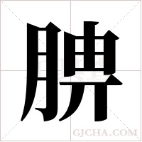 腗的筆順