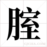 腟的筆順