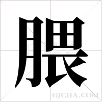 腲的筆順