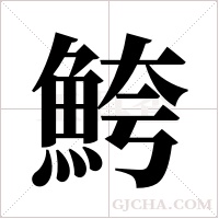 鮬的筆順