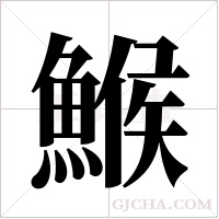 鯸的筆順