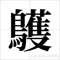 鸌的筆順