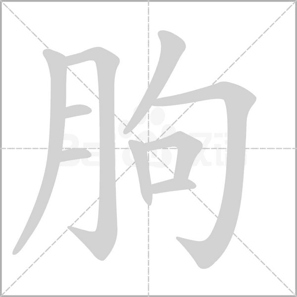 朐的筆順