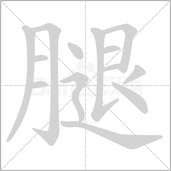 腿的筆順