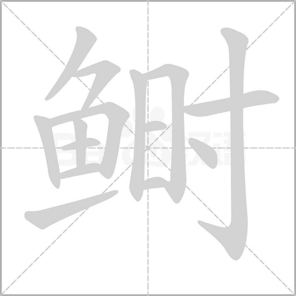 鰣的筆順