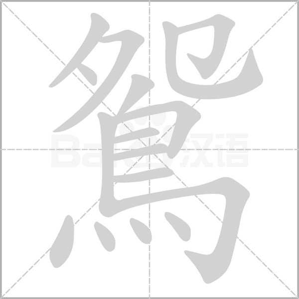 鴛的筆順