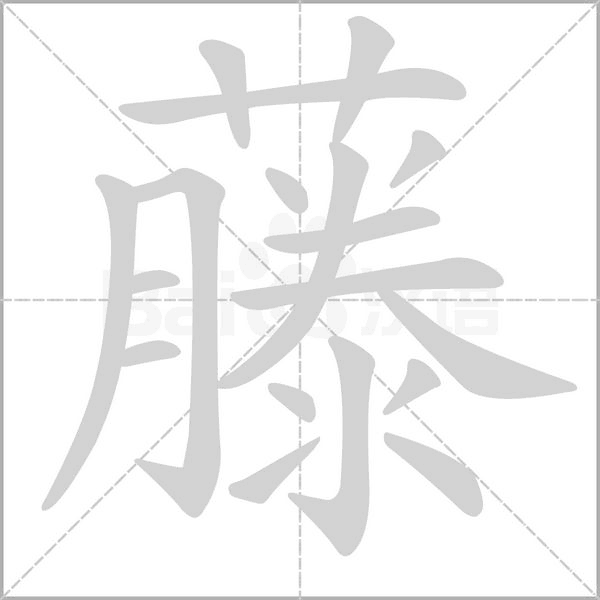 藤的筆順