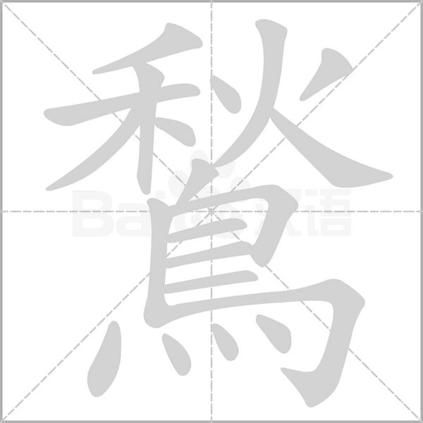 鶖?shù)墓P順