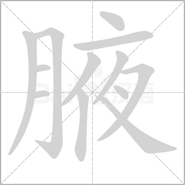 腋的筆順