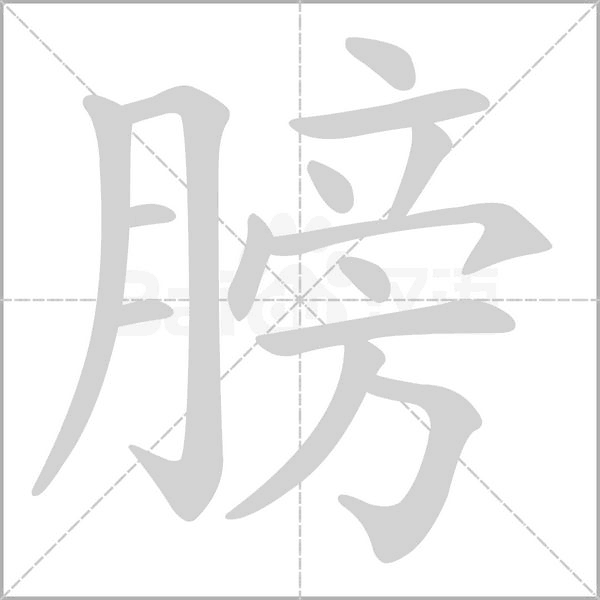 膀的筆順