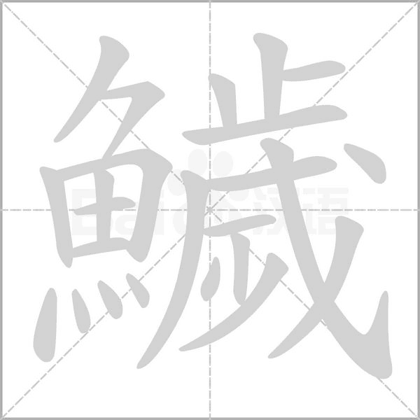 鱥的筆順
