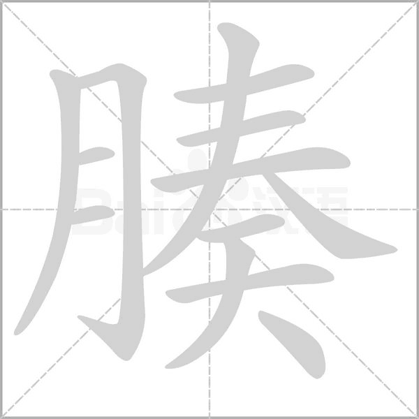 腠的筆順