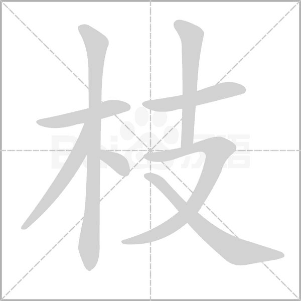 枝的筆順