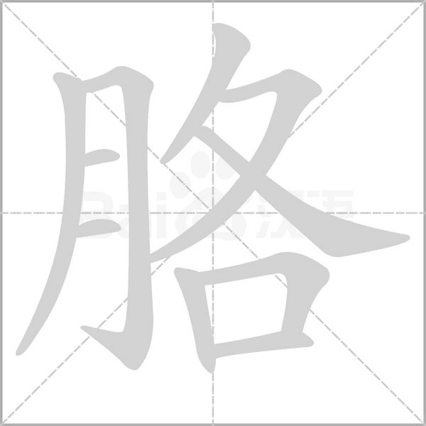 胳的筆順