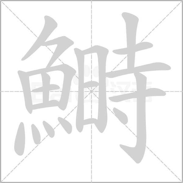 鰣的筆順
