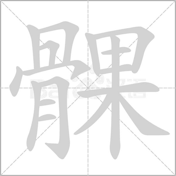 髁的筆順