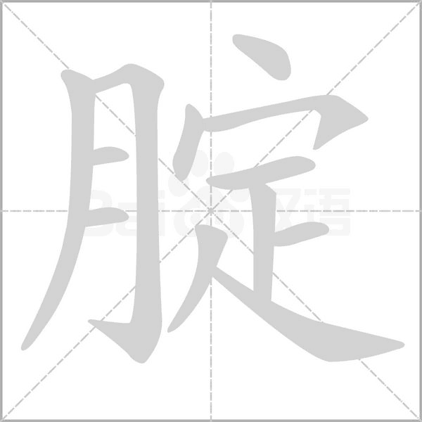 腚的筆順