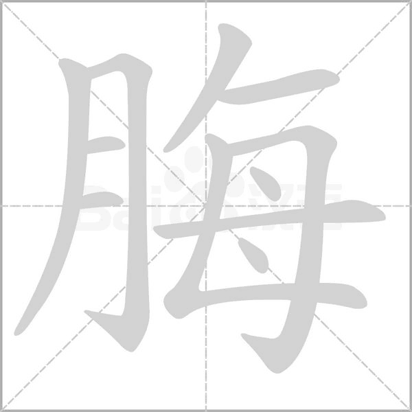 脢的筆順