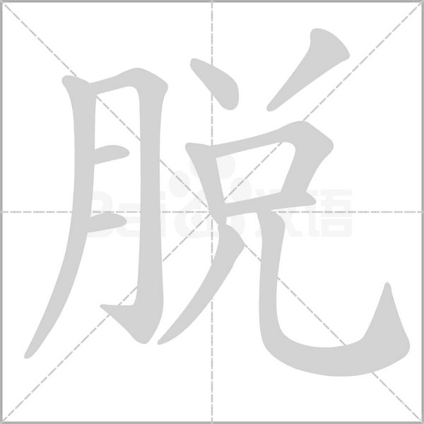 脫的筆順