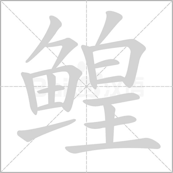 鰉的筆順