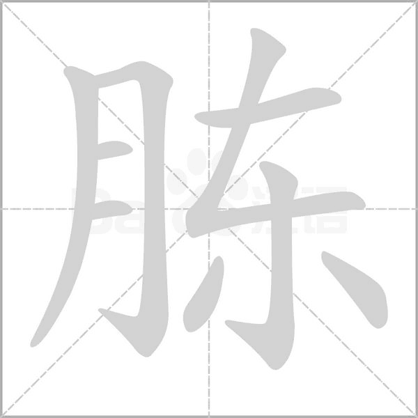 胨的筆順