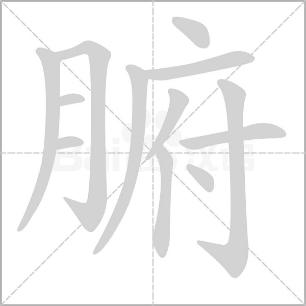 腑的筆順