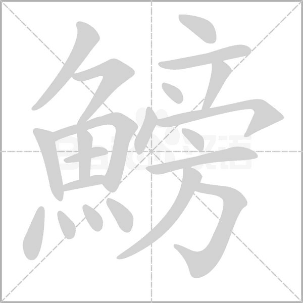 鰟的筆順
