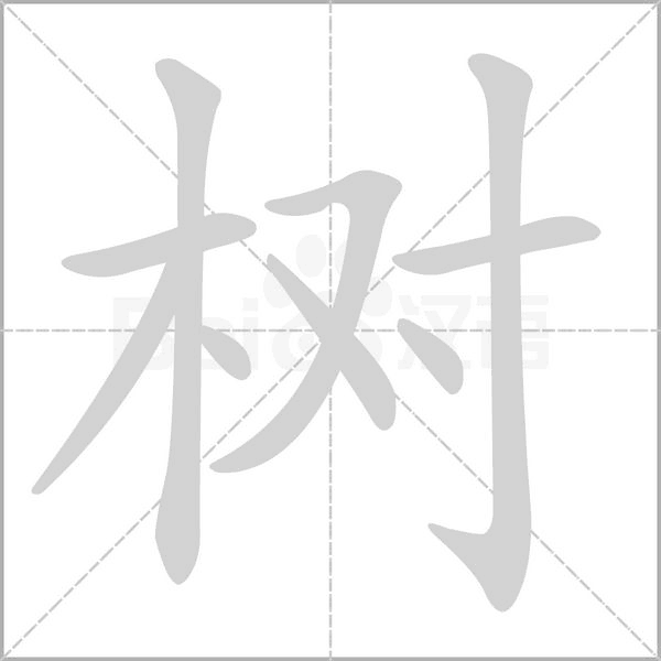 樹的筆順