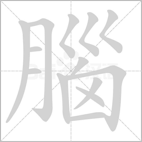 腦的筆順