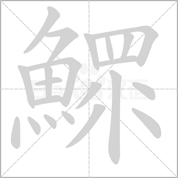 鰥的筆順