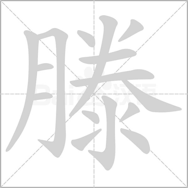 滕的筆順