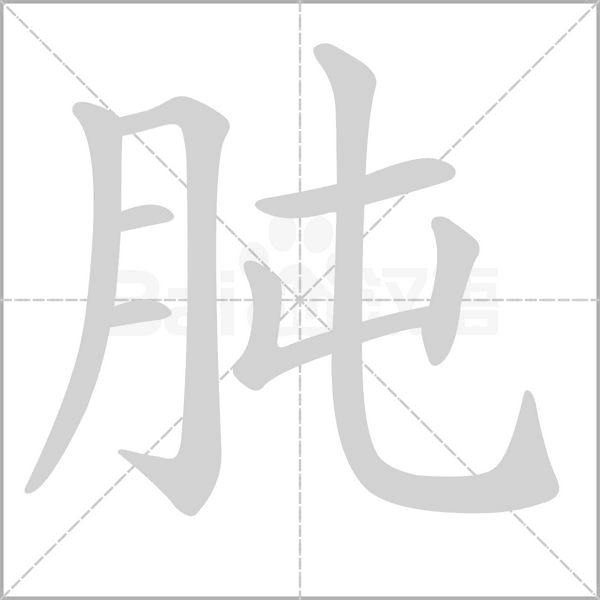 肫的筆順