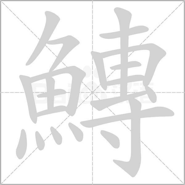 鱄的筆順