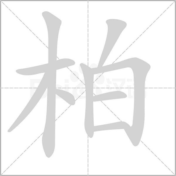 柏的筆順