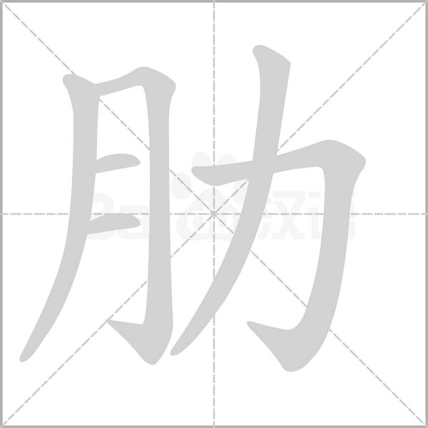 肋的筆順