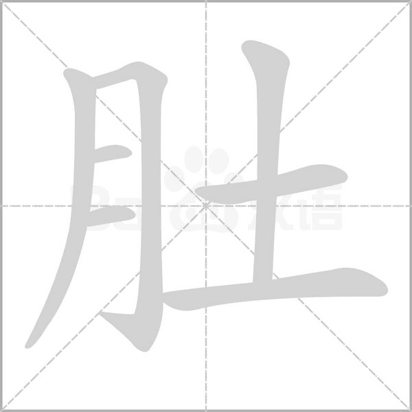 肚的筆順